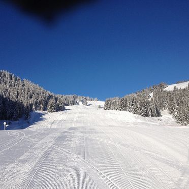 ski