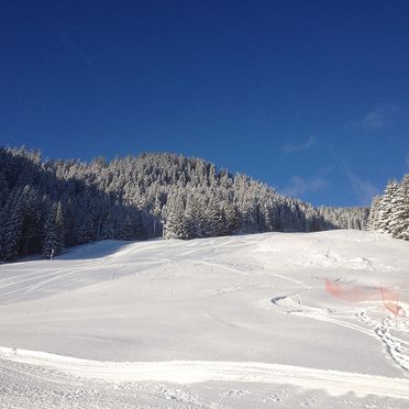 neige